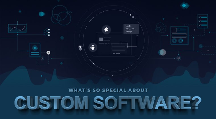 Whatâ€™s So Special About Custom Software?
